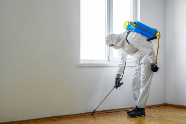 Best Pest Control Near Me in Panama City Beach, FL