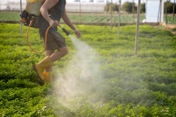 Best Pest Prevention Services  in Panama City Beach, FL